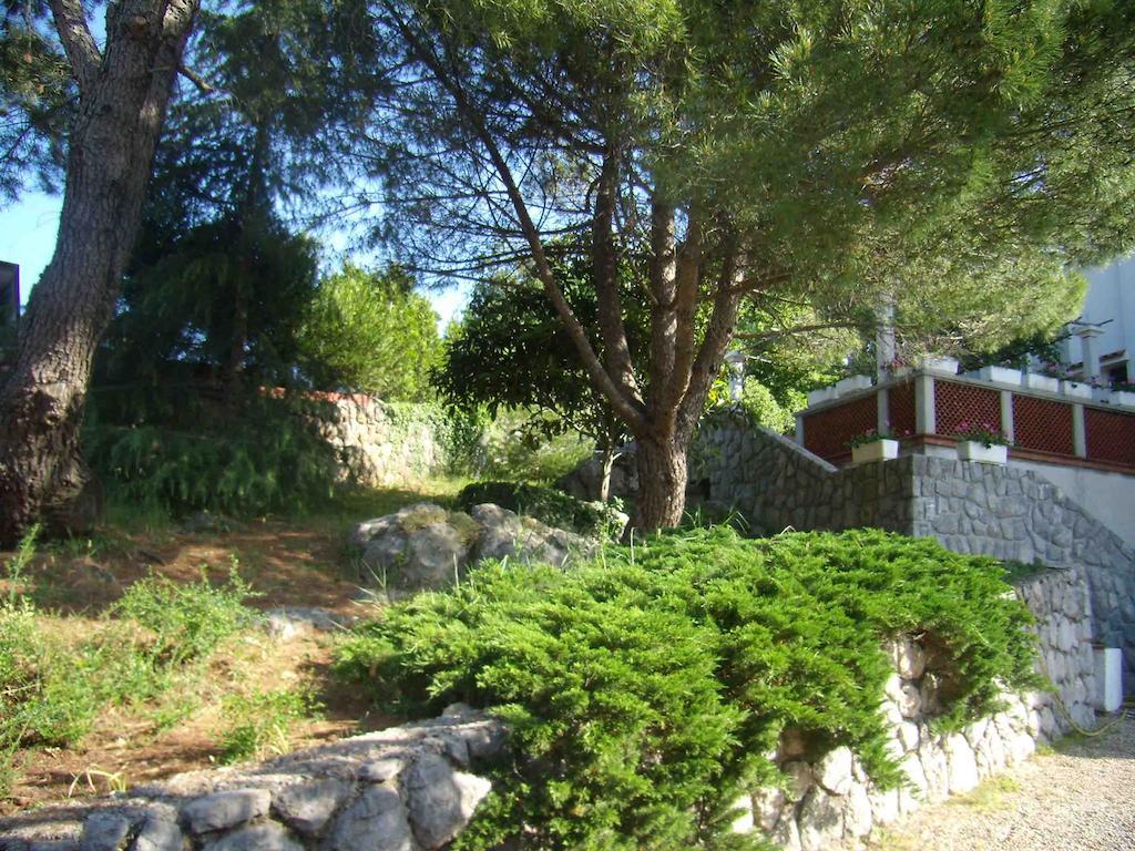 Apartament Kinkela *